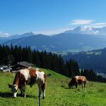 Kurzurlaub im April 2025: die besten Ideen für den Kurztrip